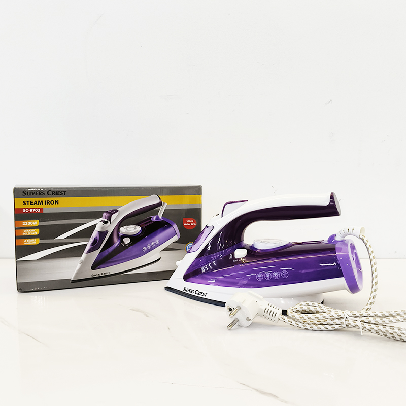 Steam iron